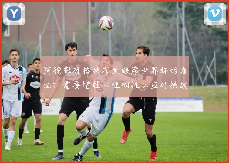 阿德勒对格纳布里缺席世界杯的看法：需要增强心理韧性以应对挑战